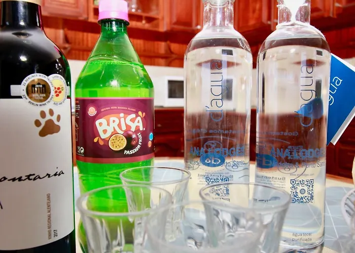 Lapa In By Interhome Câmara de Lobos